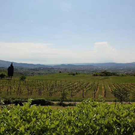 Pianelli *