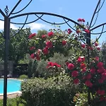 Pianelli