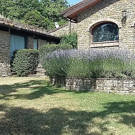 Tatil Evi Pianelli Arezzo