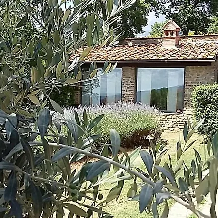 Pianelli *